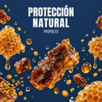 PROPOLIS